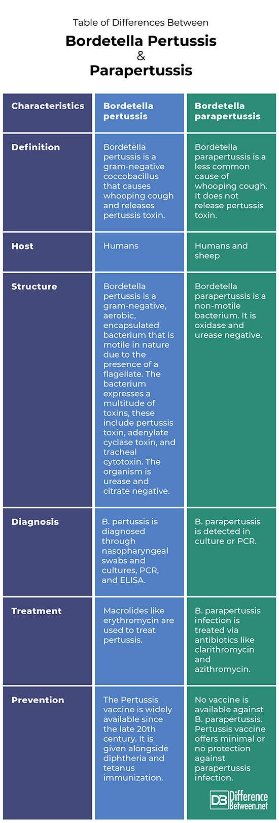 Bordetella pertussis and parapertussis
