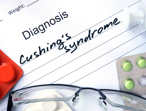 Difference Between Cushing's Syndrome vs. Addison's Disease