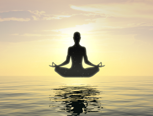 Difference Between Vipassana Meditation and Mindfulness