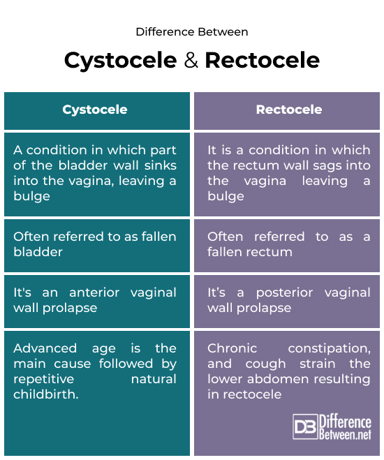 cystocele and rectocele