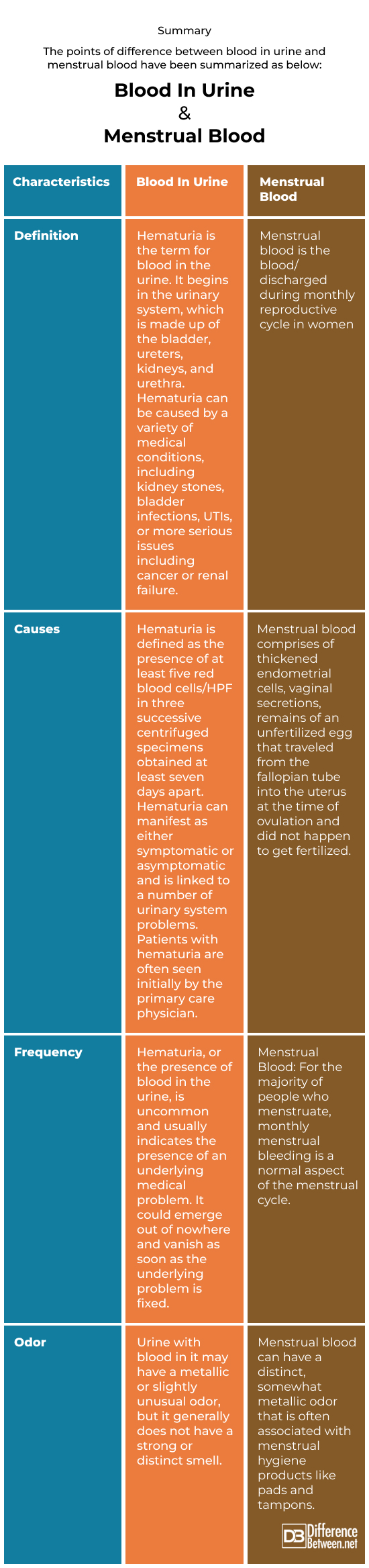 blood in urine and menstrual blood