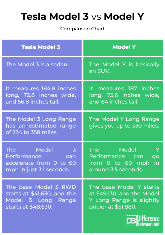 Tesla Model 3 vs. Model Y